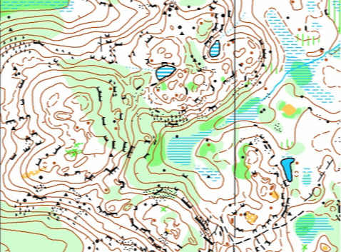 Forest map